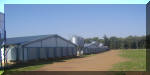 Chicken Houses