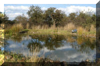Water at 10 000lph