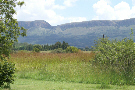 Mountain Views