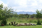 Boma Braai