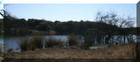 5ha dam stocked with bass