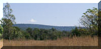 Bush with open grassland areas