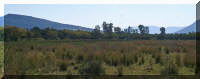 Arable Lands