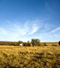 30ha Irrigation lands