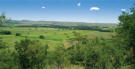 The Farm