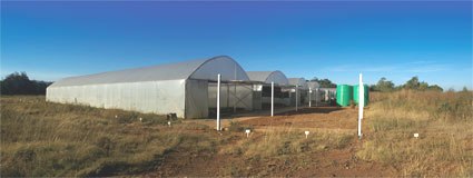 4 fully equipped tunnels of 300 sqm each