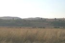 Country Views