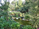 Water Feature