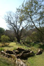 Landscaped Paradise