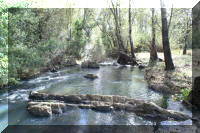 River Frontage