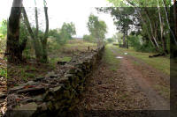 Driveway.
