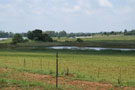 View from Cottage