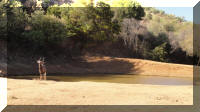Water Hole